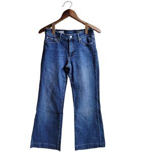 Gap Dazed Authentic Flare Stretch Jeans 28R